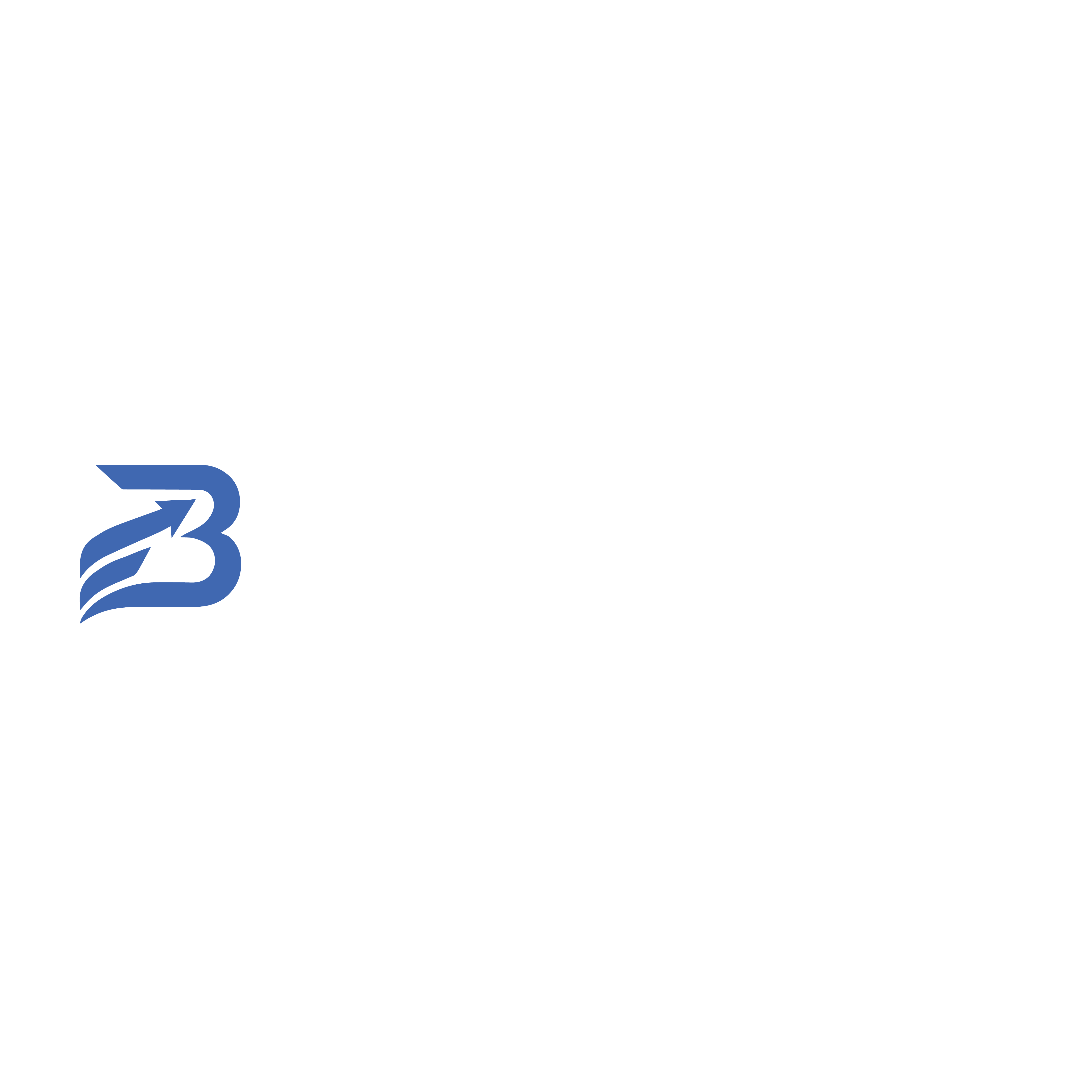 Brandiplex Logo